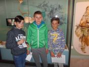 AVEN43