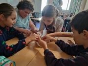 Classe découverte primaires