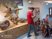 Muséum de l'Ardèche