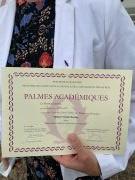 Palmes académiques