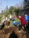 Pastorale 6e