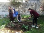 Pastorale 6e