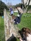 Pastorale 6e