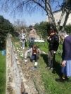 Pastorale 6e