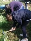 Pastorale 6e