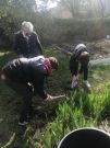 Pastorale 6e
