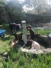 Pastorale 6e