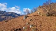 Voyage Ecosse
