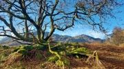 Voyage Ecosse