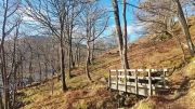 Voyage Ecosse