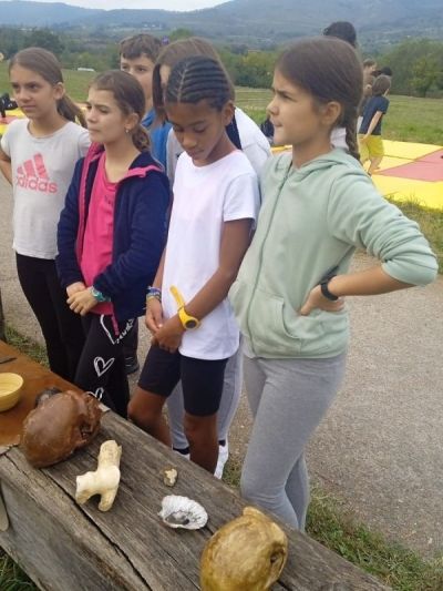 Association sportive (6)