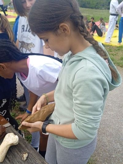 Association sportive (7)