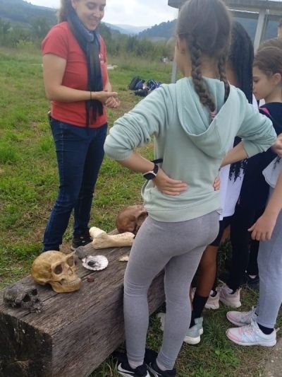 Association sportive (9)