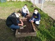 Atelier botanique