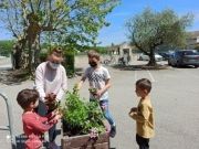 Photo Atelier botanique - PS, MS, 6e et 5e
