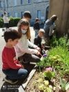 Atelier botanique