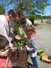 Atelier botanique