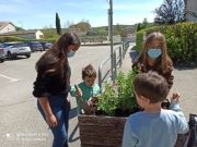 Atelier botanique