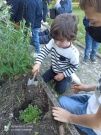 Atelier botanique