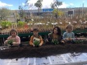 Atelier jardinage