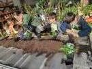 Atelier jardinage