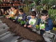 Atelier jardinage