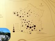 Cité de la préhistoire