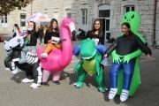 Cross de l'ensemble scolaire