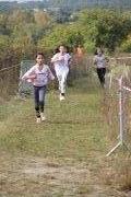 Cross de l'ensemble scolaire