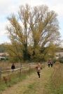 Cross de l'ensemble scolaire