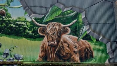 Ecosse (135)