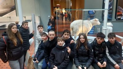 Ecosse (166)