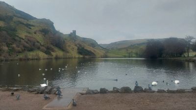 Ecosse (29)