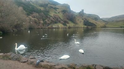 Ecosse (30)
