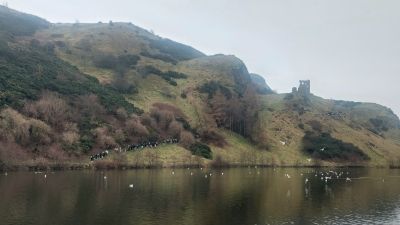 Ecosse (31)