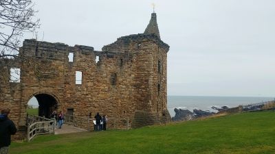 Ecosse (63)