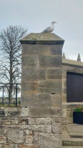 Ecosse (75)