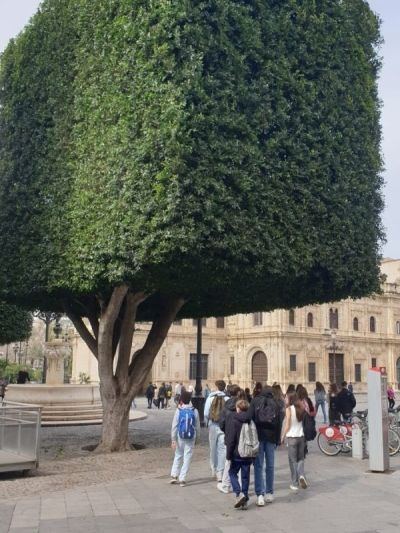 Espagne (52)
