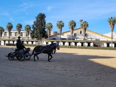 Espagne (57)