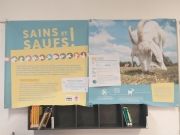 Photo Exposition au CDI