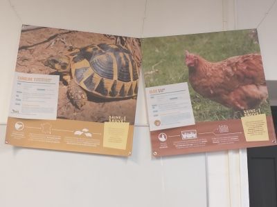 Exposition au CDI