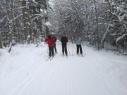 IMG_20190201_115239