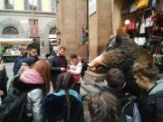 IMG_20190211_114220
