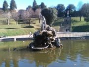 IMG_20190212_143106