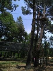 IMG_20190625_130341