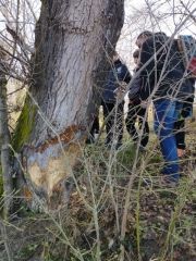 Intervention "Entre crues et économie d'eau"
