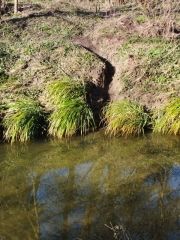 Intervention "Entre crues et économie d'eau"