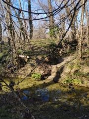 Intervention "Entre crues et économie d'eau"