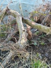 Intervention "Entre crues et économie d'eau"