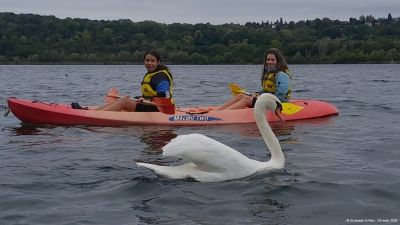 Jeux paralympiques (15)